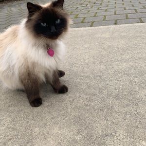 Meet your Posher, Jordan